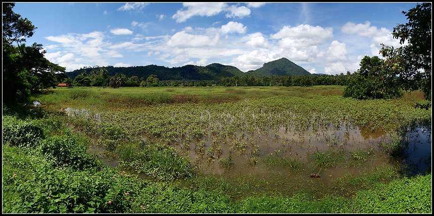 фото "Шри Ланка" метки: панорама, пейзаж, лето