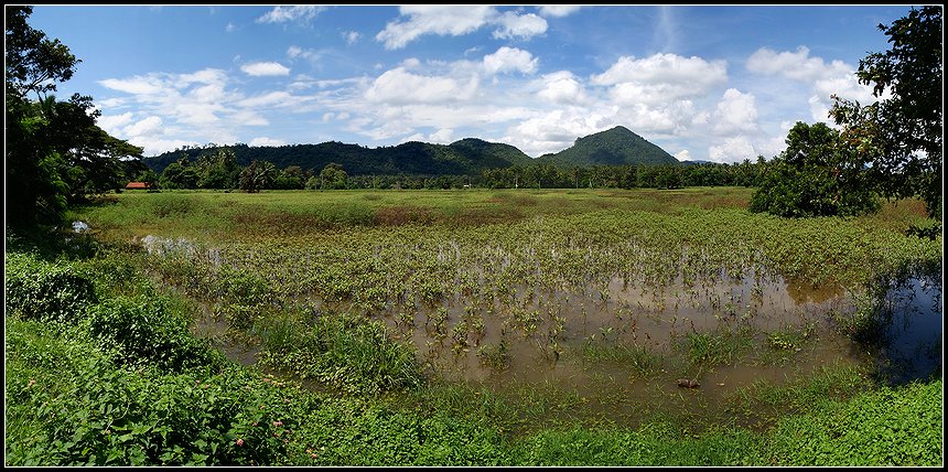 photo "***" tags: panoramic, landscape, summer