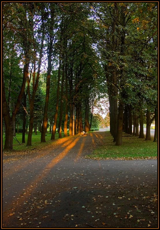 photo "***" tags: landscape, autumn