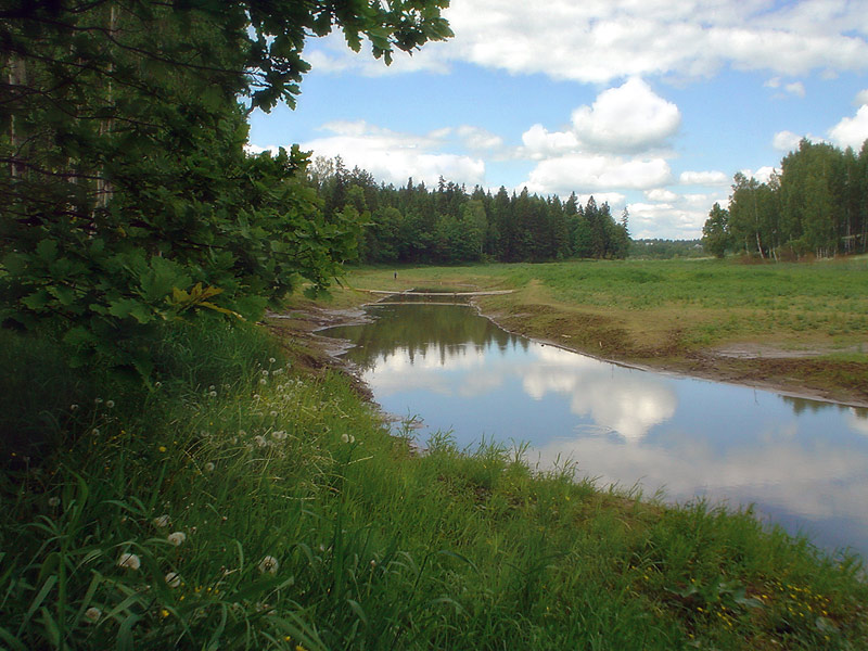 photo "***" tags: landscape, forest