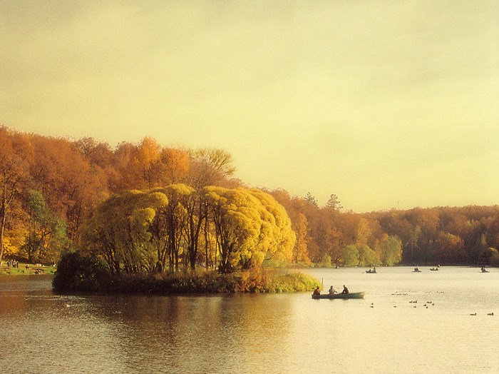 photo "saturday-evening" tags: landscape, autumn