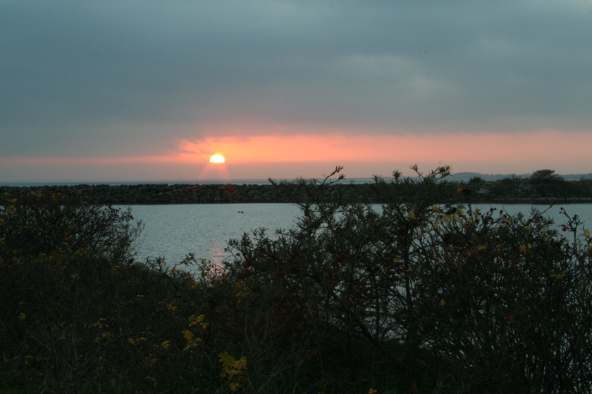 photo "Ligth" tags: landscape, sunset, winter