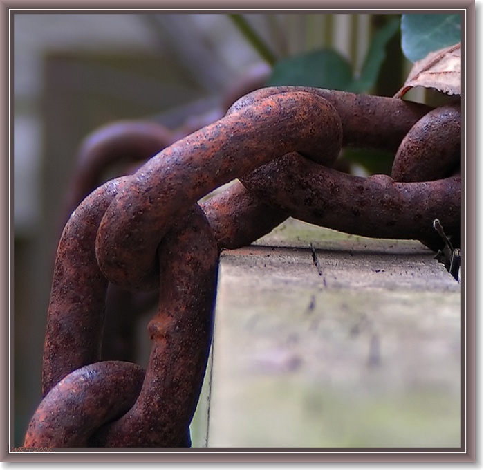 photo "Iron Oxide ( The Chains That Bind )" tags: macro and close-up, still life, 