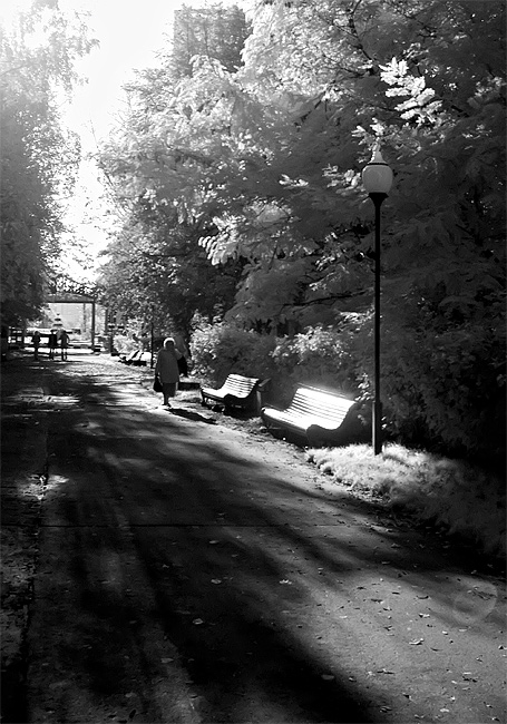 photo "spillng-the-shadows" tags: landscape, black&white, summer