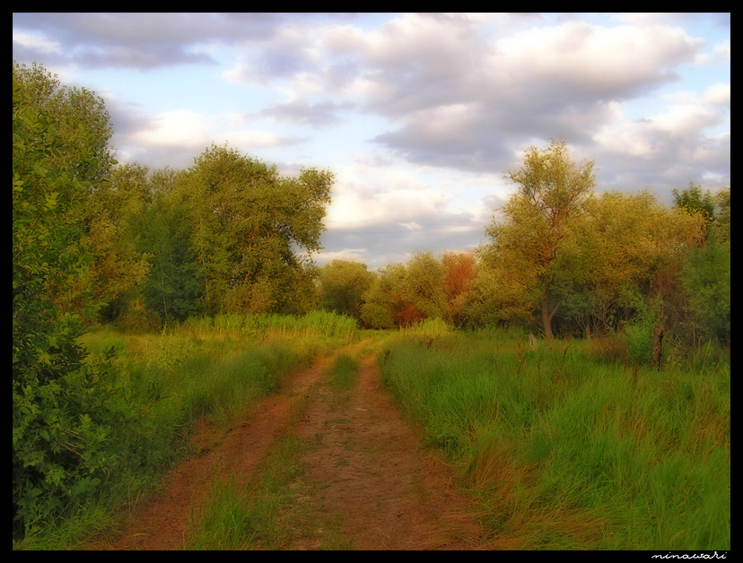 photo "the ROAD" tags: landscape, nature, 