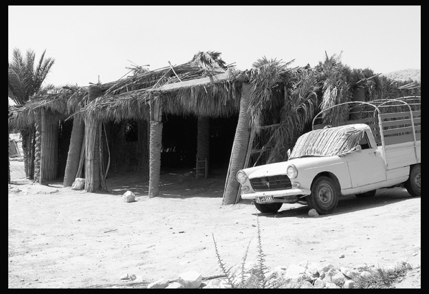 фото "Оазис прохлады в раскаленной пустыне" метки: архитектура, черно-белые, пейзаж, 
