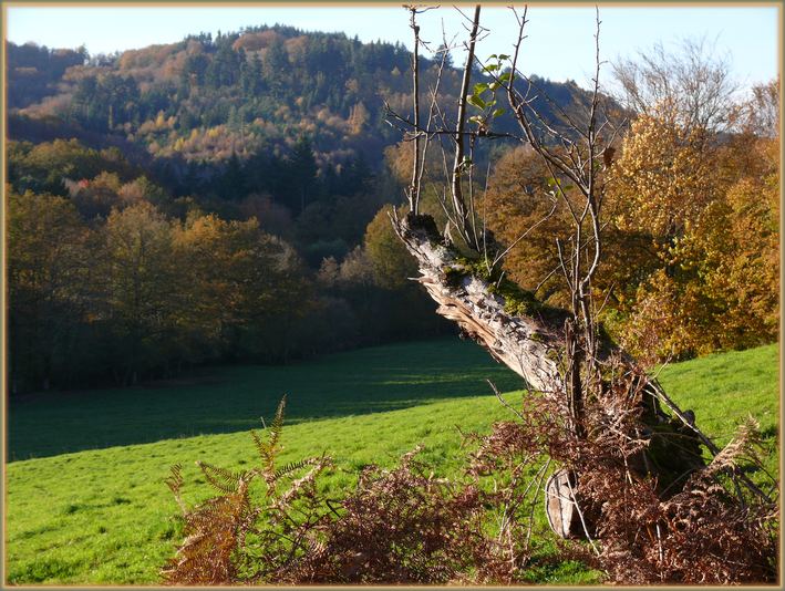 photo "Remains of life" tags: landscape, autumn, mountains