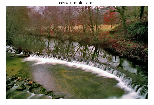 photo "Colors" tags: landscape, forest