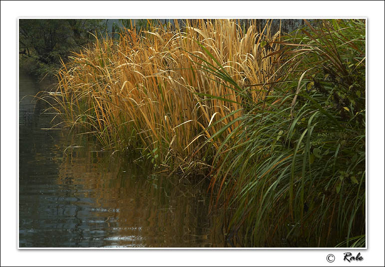 photo "autumn-2" tags: landscape, 