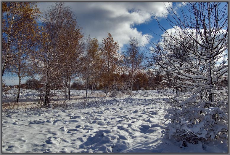 photo "Coming the winter" tags: landscape, winter