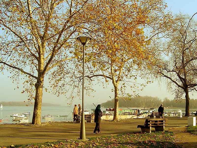 photo "Moments" tags: landscape, autumn