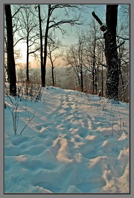 фото "Утро в лесу..." метки: пейзаж, зима
