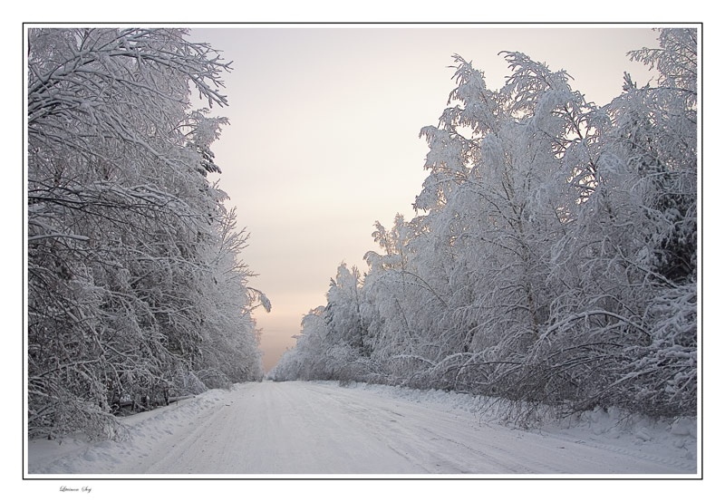 photo "***" tags: landscape, winter