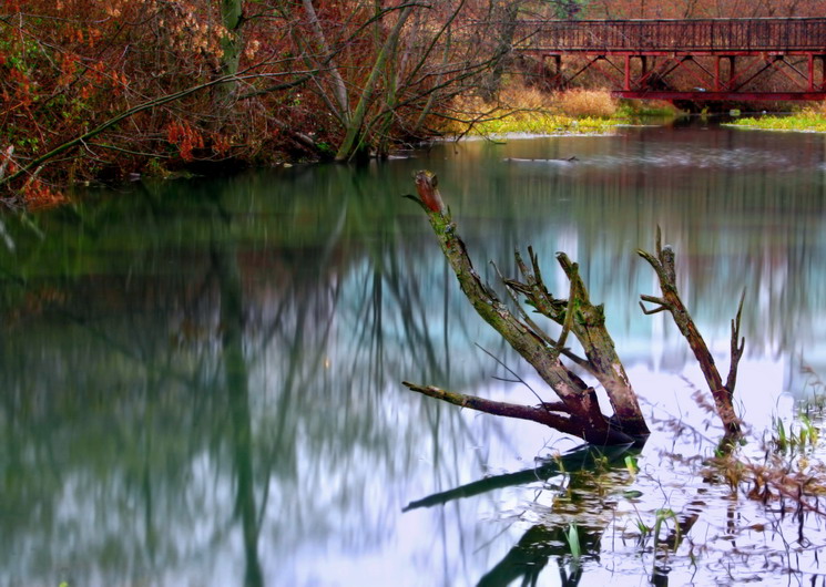 photo "***" tags: landscape, water