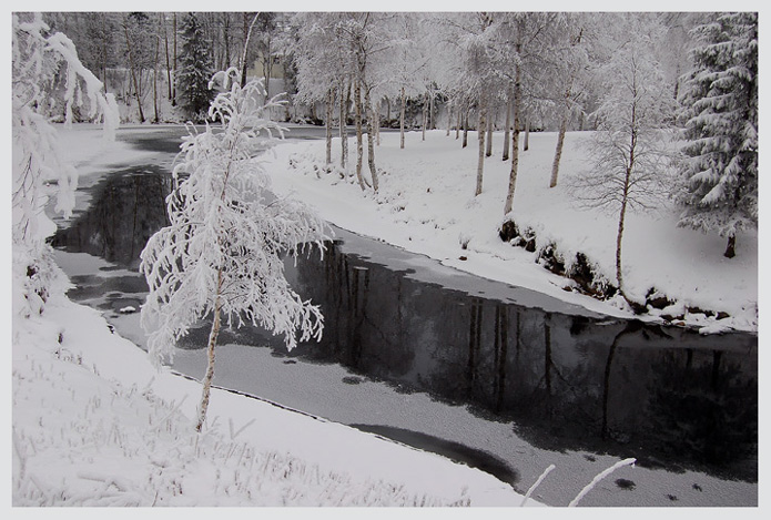 photo "Winter in Kuusamo" tags: landscape, forest, winter