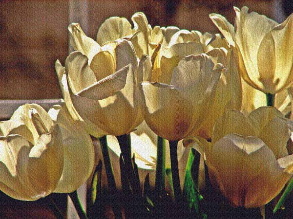 photo "....." tags: nature, still life, flowers