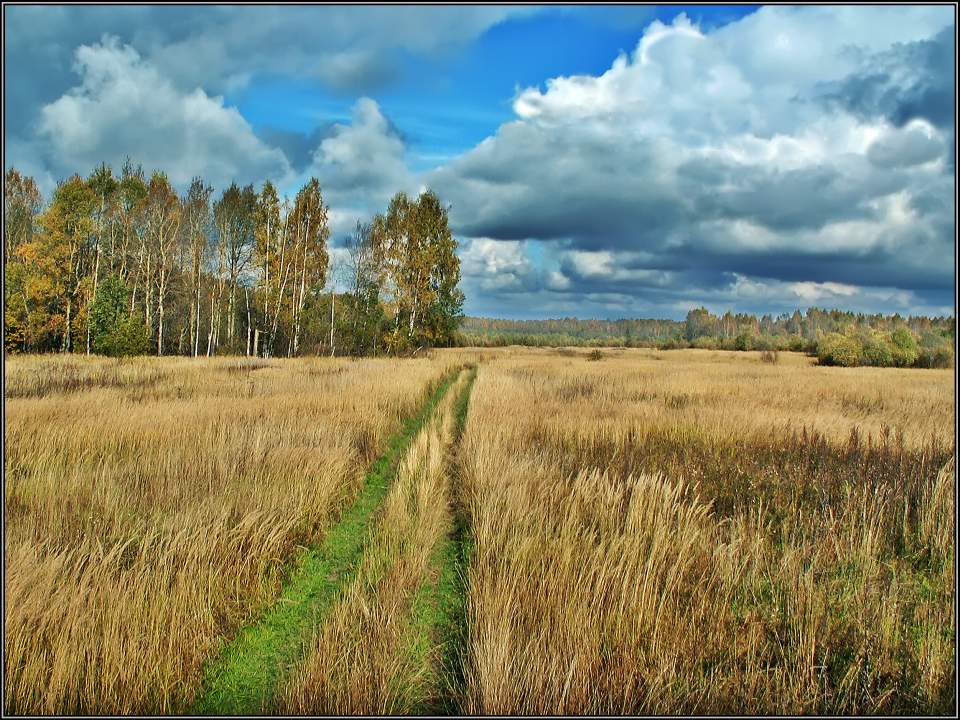 photo "Under the sky of an autumn-2" tags: landscape, autumn