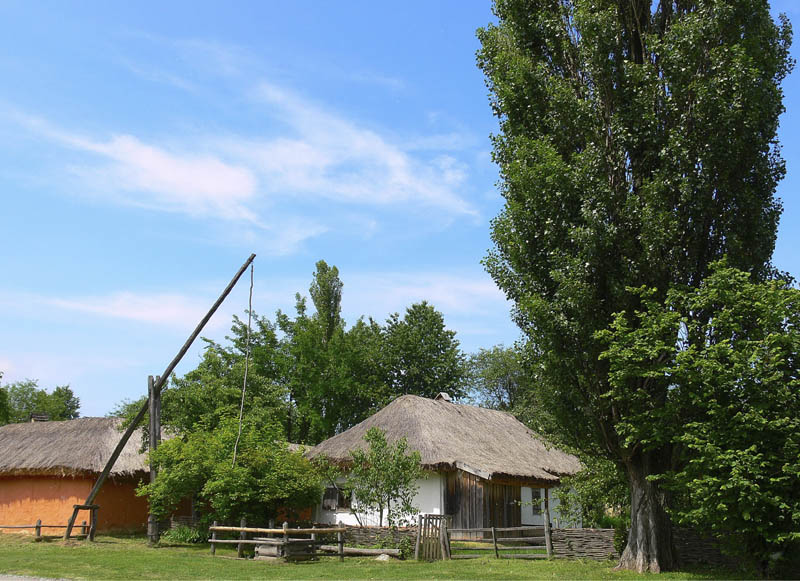 Село Лоевцы На Украине Фото