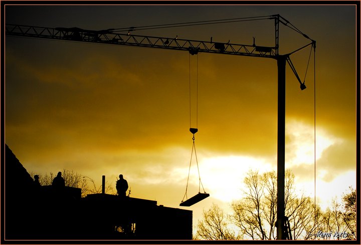 photo "early workers" tags: nature, reporting, pets/farm animals