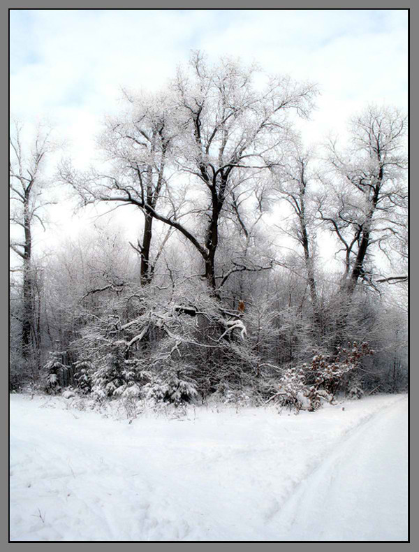 photo "***" tags: landscape, winter