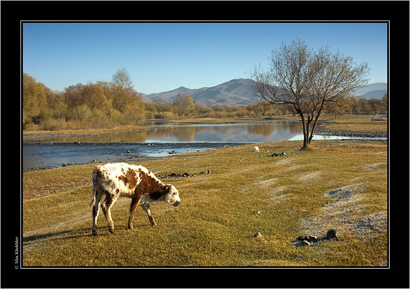 photo "Mongolia (2)" tags: landscape, autumn