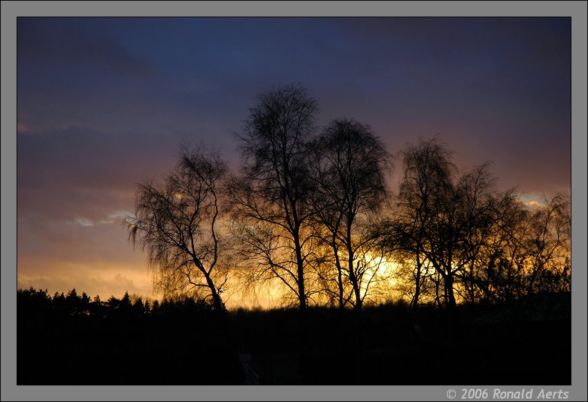 photo "Sunset am backyard" tags: landscape, sunset