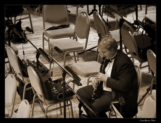 photo "Lonely solo" tags: genre, 
