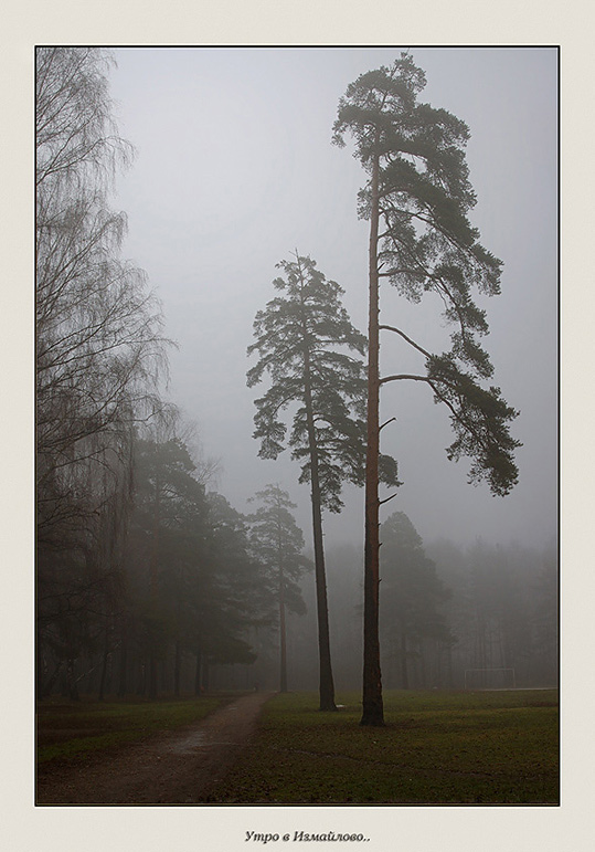 photo "***" tags: landscape, forest