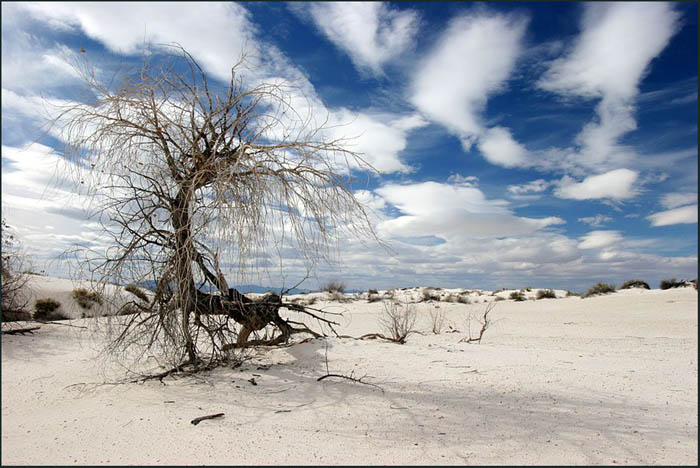 photo "The Desert Nerve" tags: landscape, travel, 