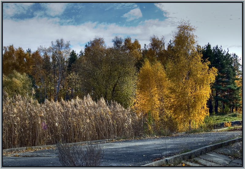 photo "Colors of autumn" tags: landscape, nature, autumn