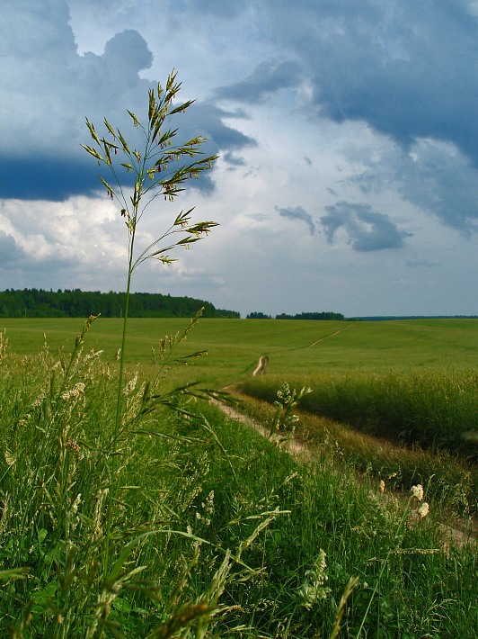 photo "***" tags: landscape, summer