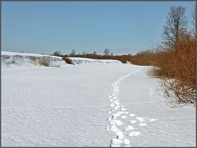 photo "On the winter river" tags: landscape, winter