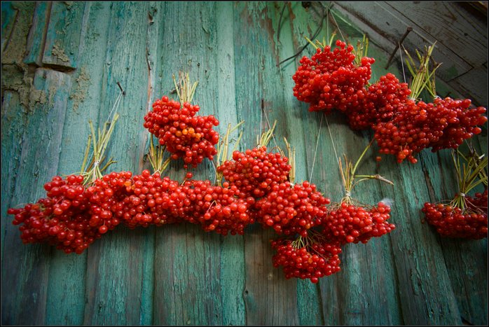 photo "***" tags: still life, old-time, 