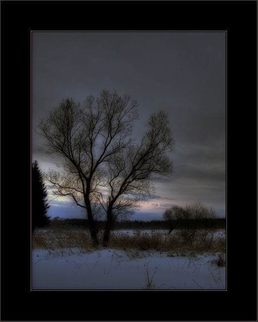 photo "Зимний коралл" tags: , 