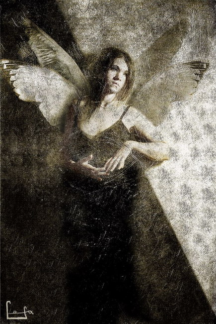 photo "Angel" tags: montage, 