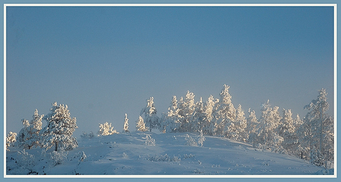 photo "Greetings from Lapland" tags: landscape, forest, winter