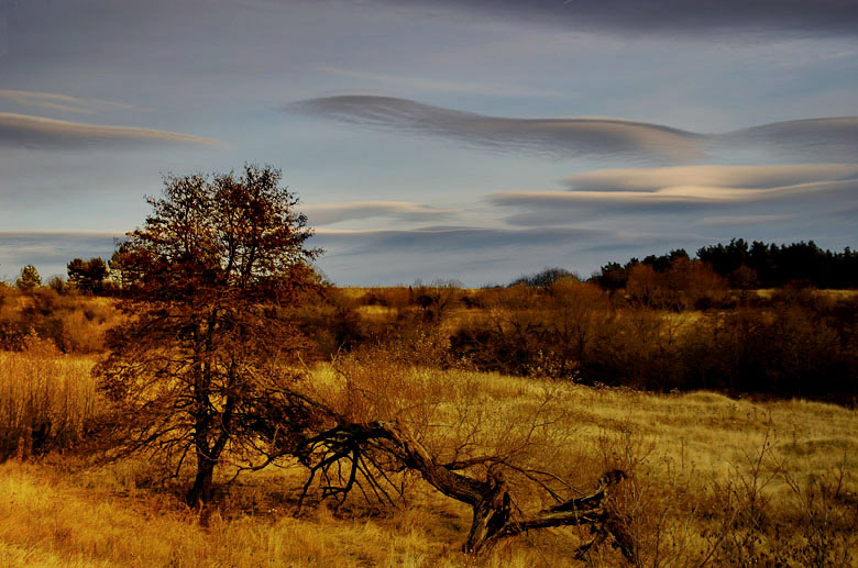 photo "The time" tags: landscape, autumn, clouds
