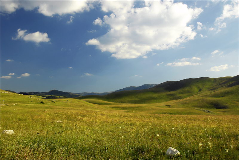photo "***" tags: landscape, summer