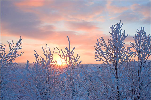 photo "Just a winter sunset" tags: landscape, sunset, winter