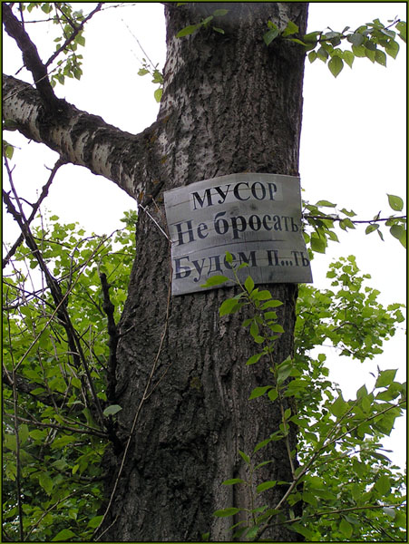 photo "The Green Peace in Russian" tags: nature, humor, 