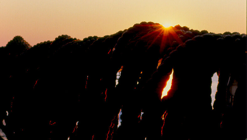 photo "Mooring Lines" tags: landscape, still life, sunset