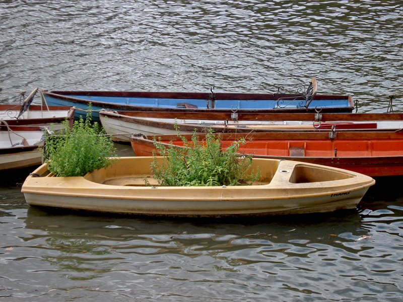 photo "Flower-pot boat" tags: travel, Europe