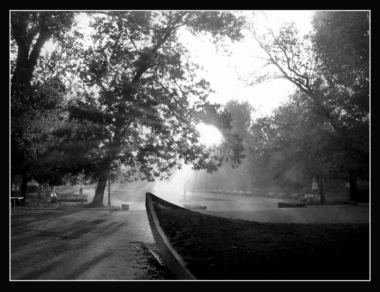 photo "Morning" tags: black&white, 
