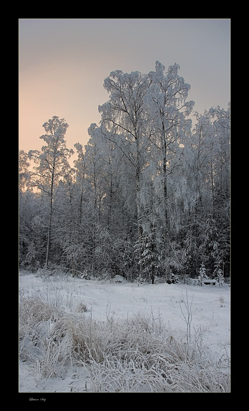 photo "***" tags: , 