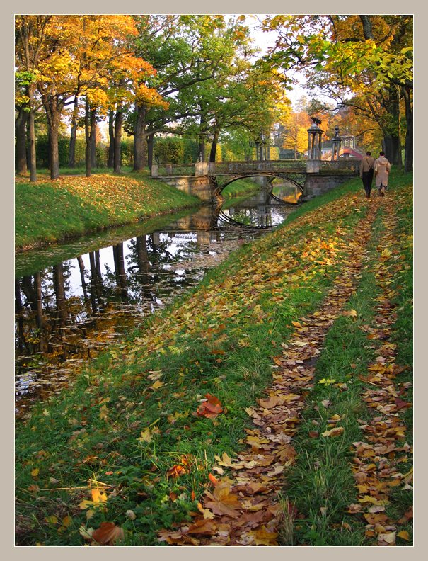 photo "Walks in October" tags: landscape, autumn, forest