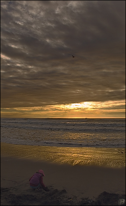 photo "Pink Gold" tags: landscape, sunset