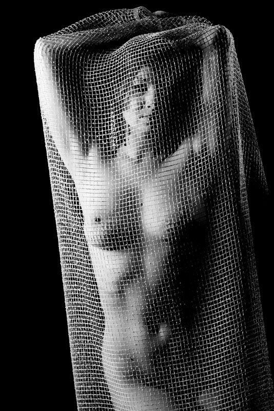 photo "In Net" tags: nude, black&white, 