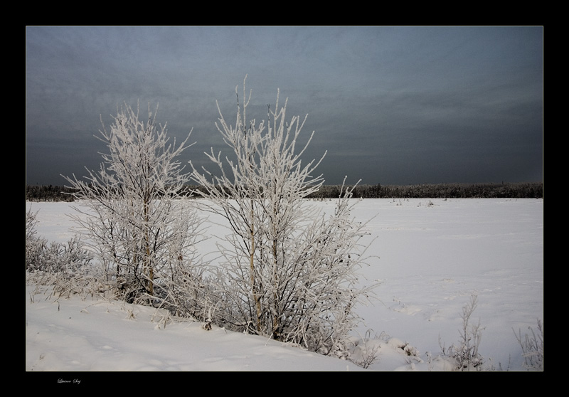 photo "***" tags: , 