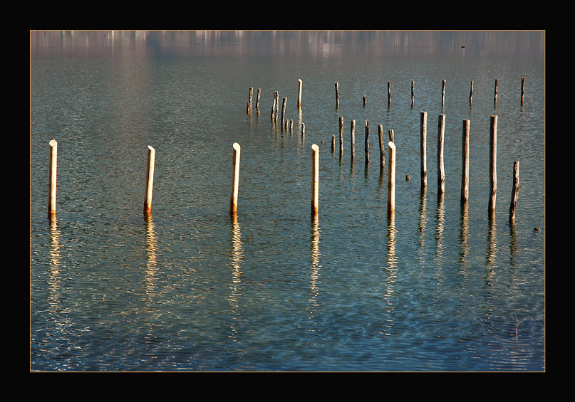 фото "New Friends..." метки: пейзаж, вода, осень