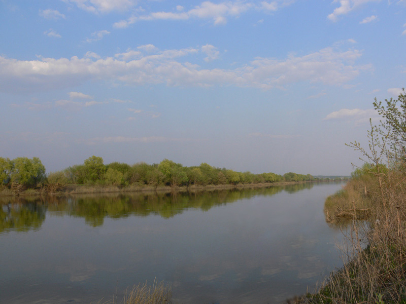 photo "***" tags: landscape, spring